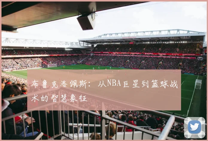 布鲁克洛佩斯：从NBA巨星到篮球战术的智慧象征