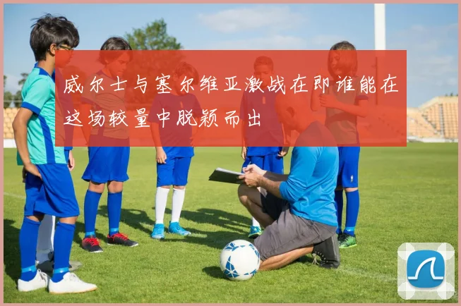 威尔士与塞尔维亚激战在即谁能在这场较量中脱颖而出